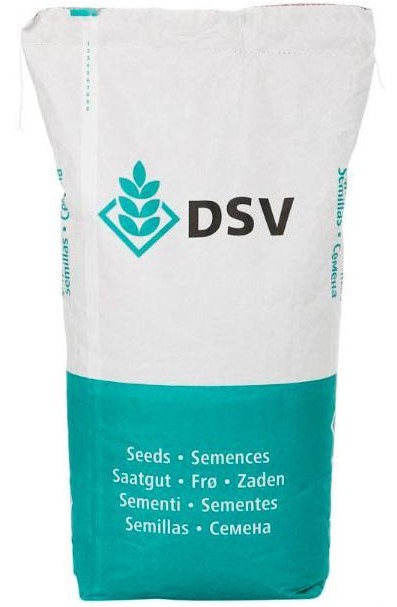 Sămânță de iarbă DSV Speed Green pentru însămânțare la vârf 10 kg