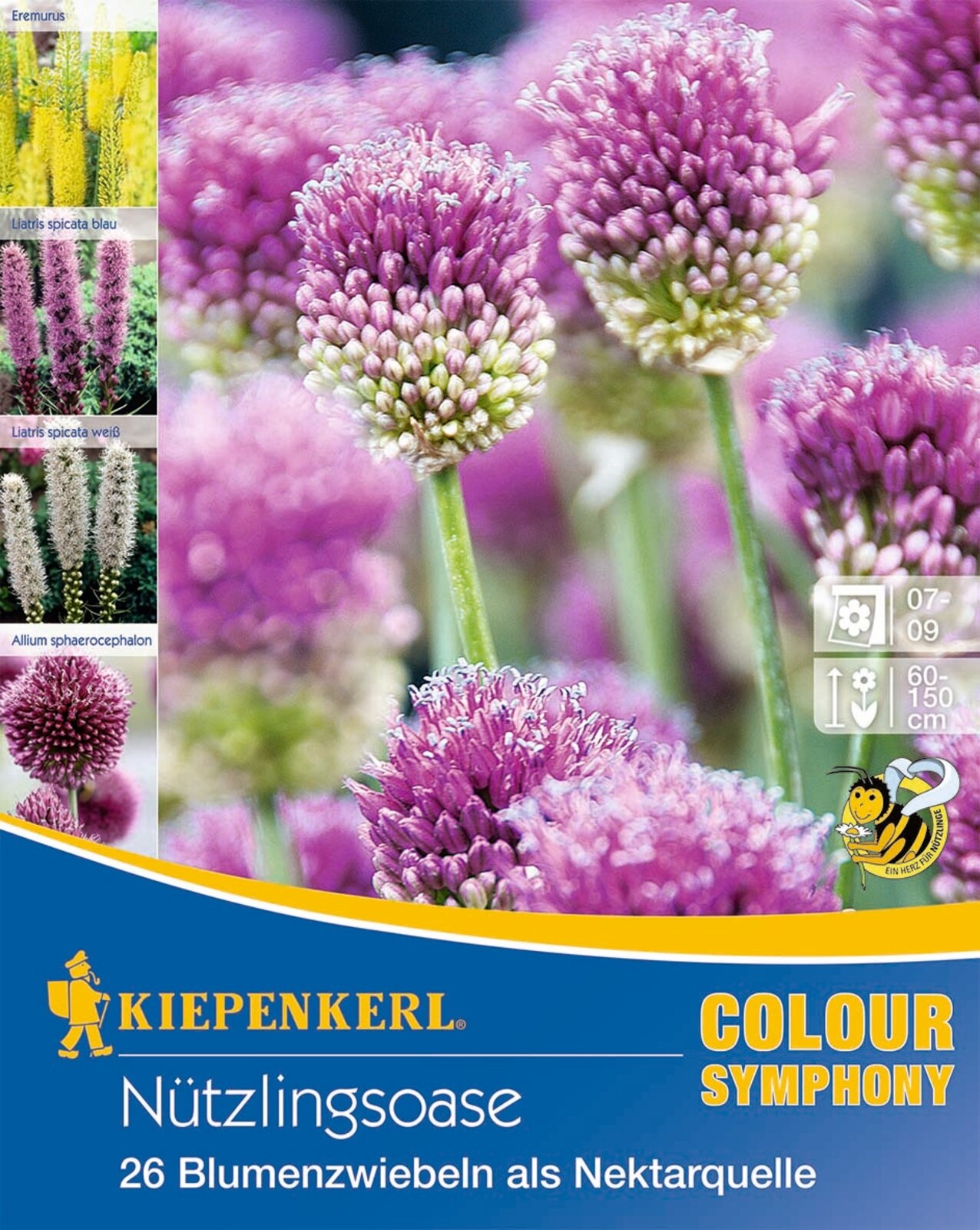 Virághagyma Hasznos rovarok kertje Kiepenkerl 26 db