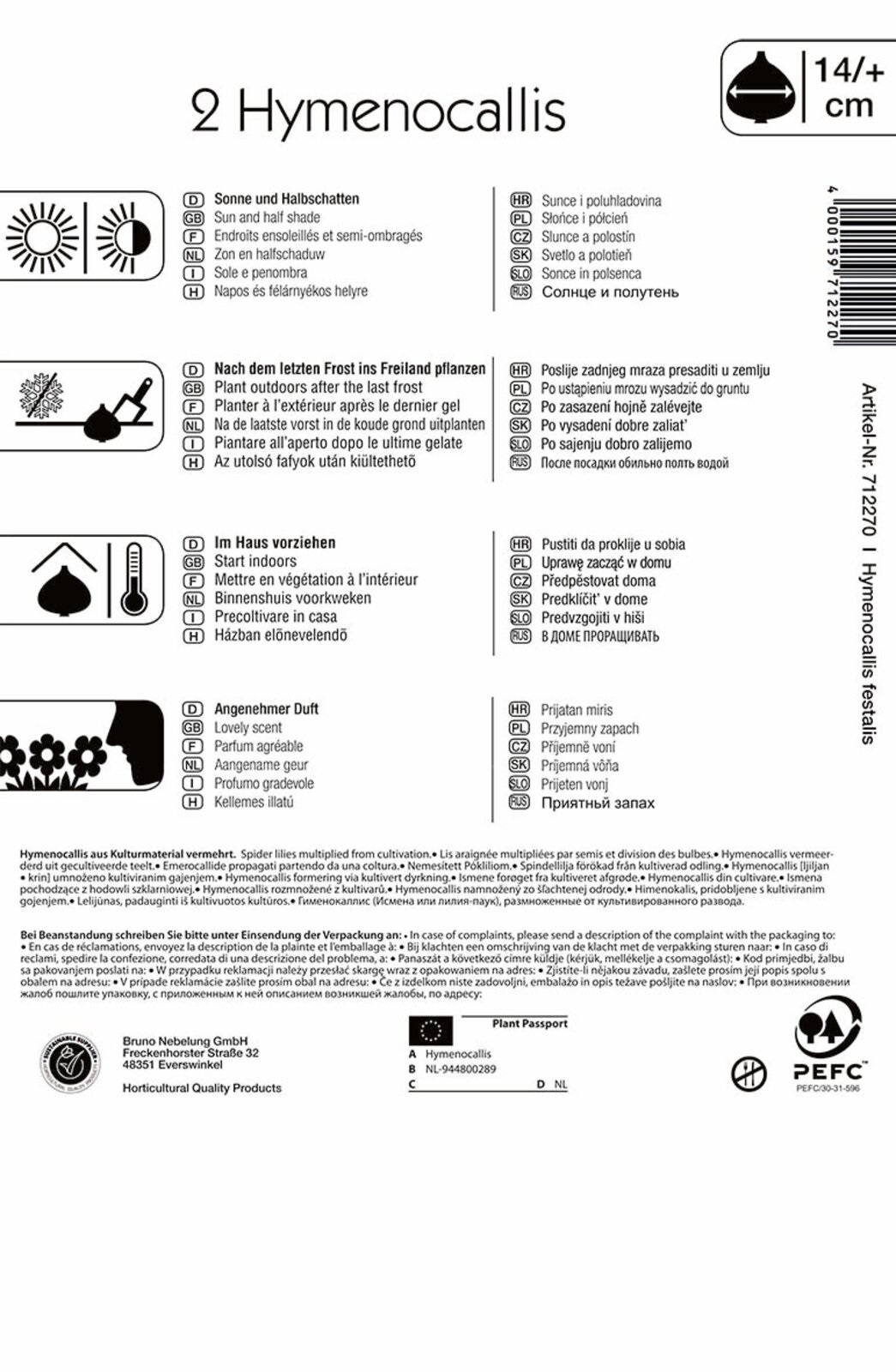 Virághagyma Pókliliom (Hymenocallis) Ismene (fehér) Kiepenkerl 2 db