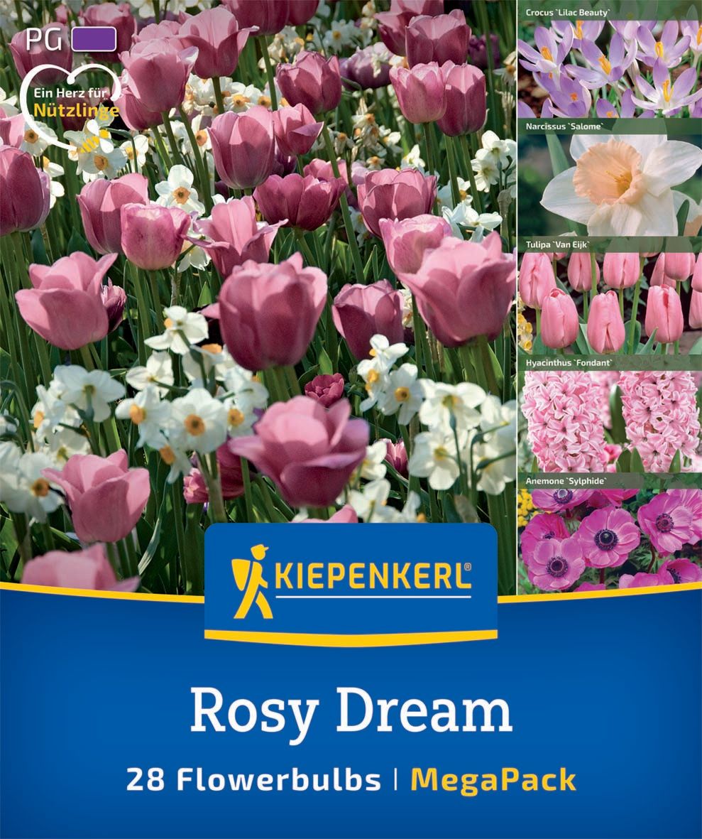 Virághagyma keverék Rosy Dream Mix Kiepenkerl 28 db