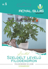 Szeldelt levelű flodendron 16 szem Royal Sluis