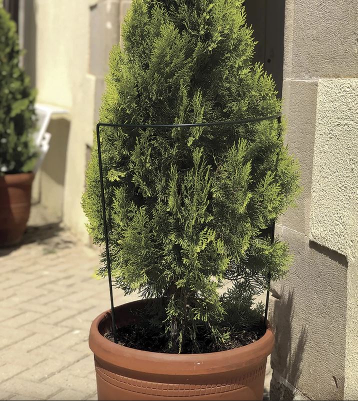 Félkör alakú növénytámasz CHELSEA 45x100cm