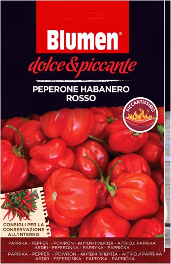 Ardei habanero roșu - extrem de iute (aprox. 10-12 semințe)