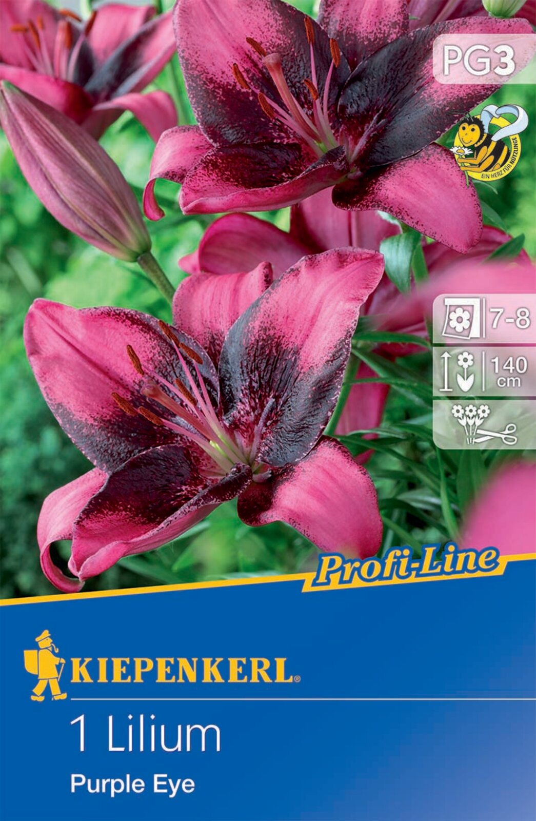Bulb de floare Lily Purple Eye Kiepenkerl 1 buc