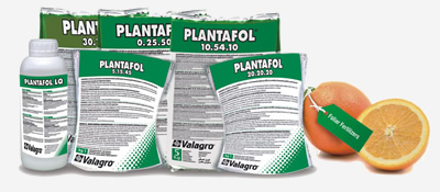 Plantafol 20-20-20+TE 5 kg