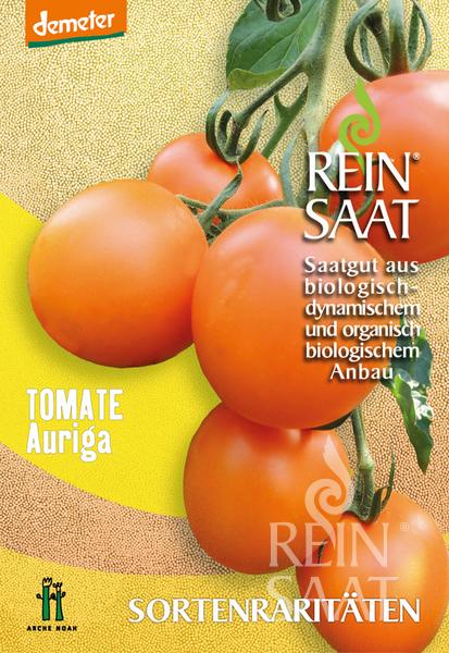 Paradicsom bio Auriga Rein Saat kb 30 db mag