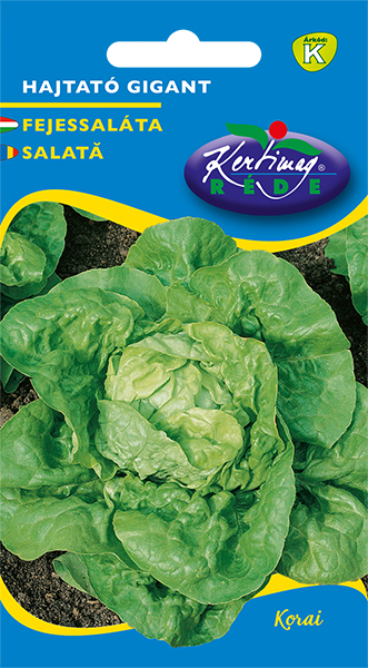 Salată Răsad Gigant 2g