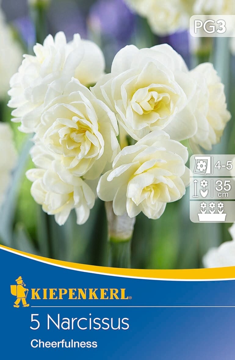 Bulb Daffodil Cheerfulness 5 pcs Kiepenkerl