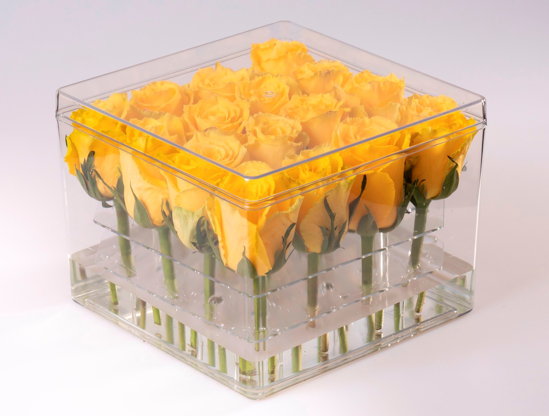 Cutie cu flori din plastic cu 4x4 fire