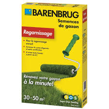 Semințe de iarbă Barenbrug SOS-Super Over Seeding 1 kg