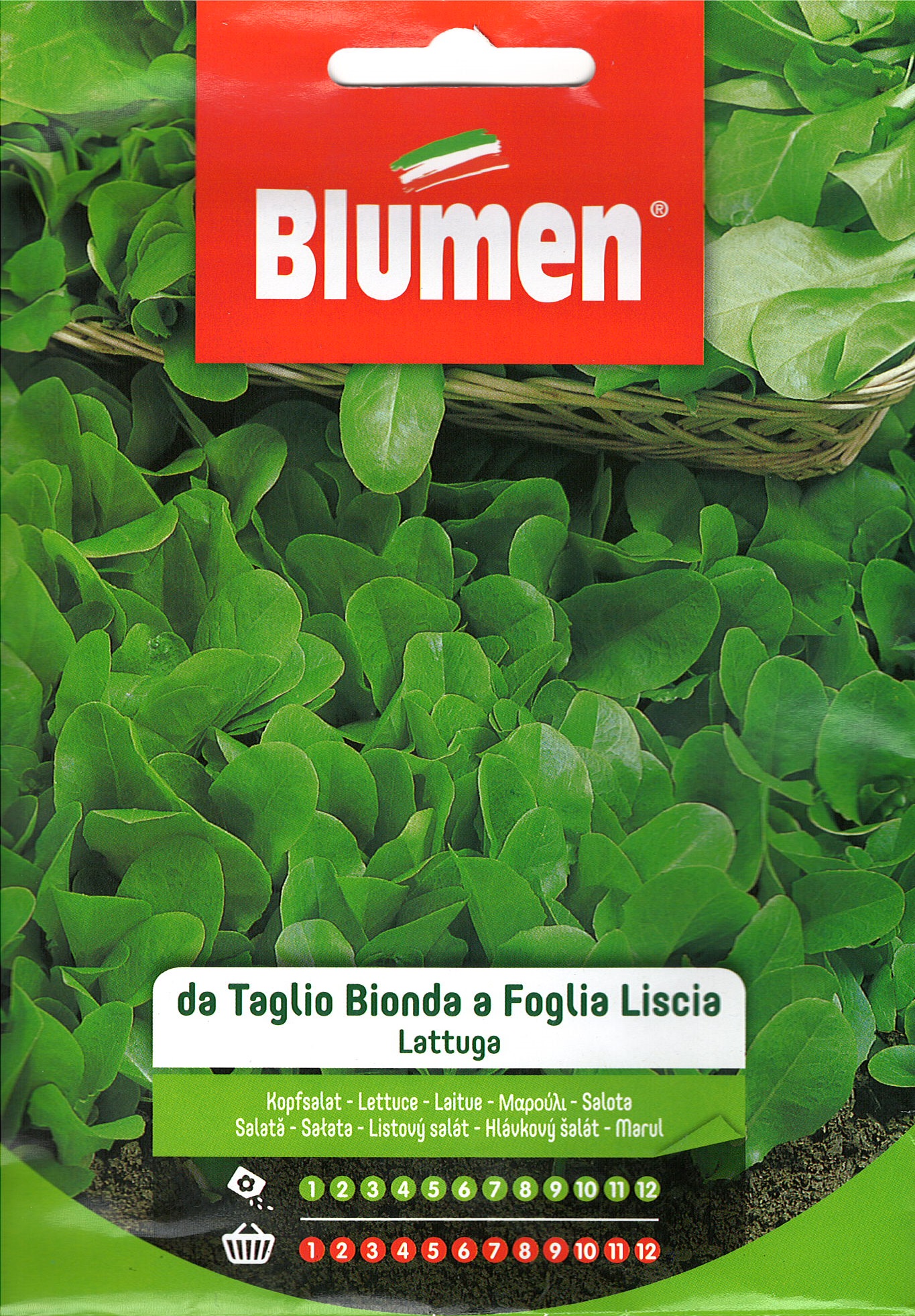 Salată verde timpurie creață Blumen 10g
