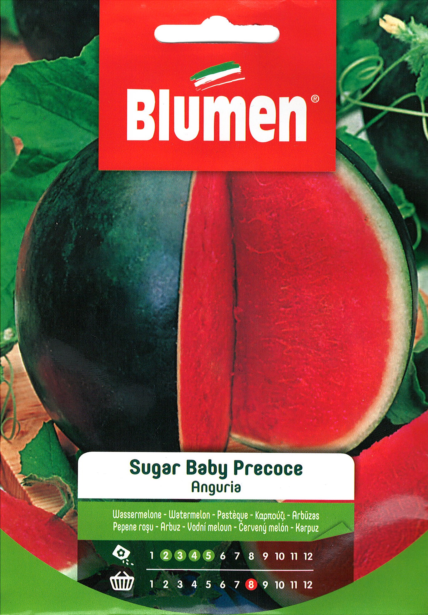 Görögdinnye Sugar Baby Blumen 4g