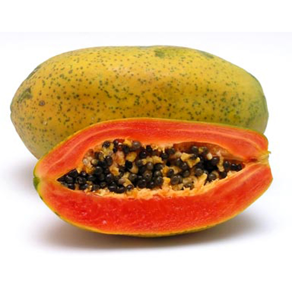 Papaya (Carica Papaya) 5 seminţe