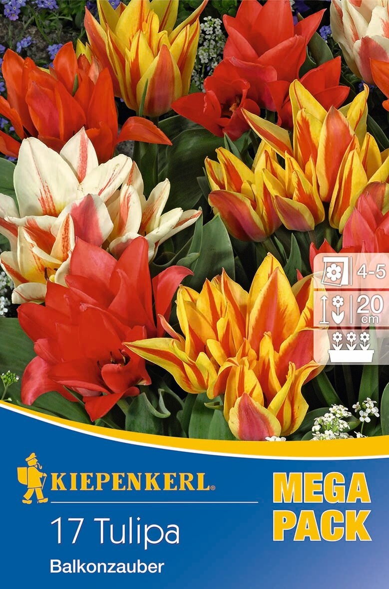Bulb Tulip Mega Pack Balkonzauber 17 pcs Kiepenkerl