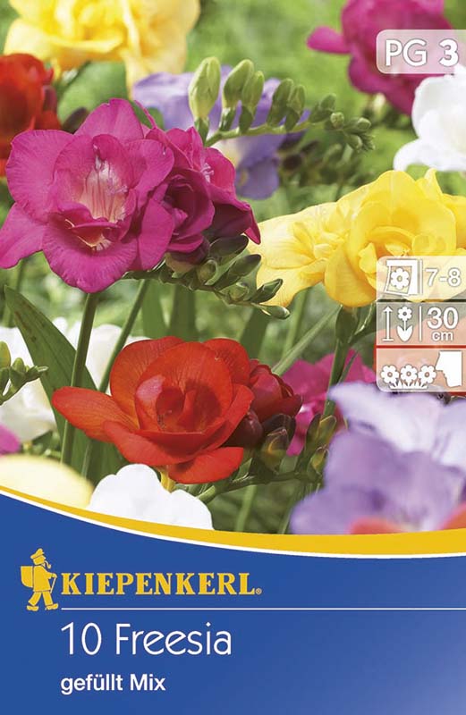 Bulbi de flori Kiepenkerl Frezie Amestec colorat 10 buc