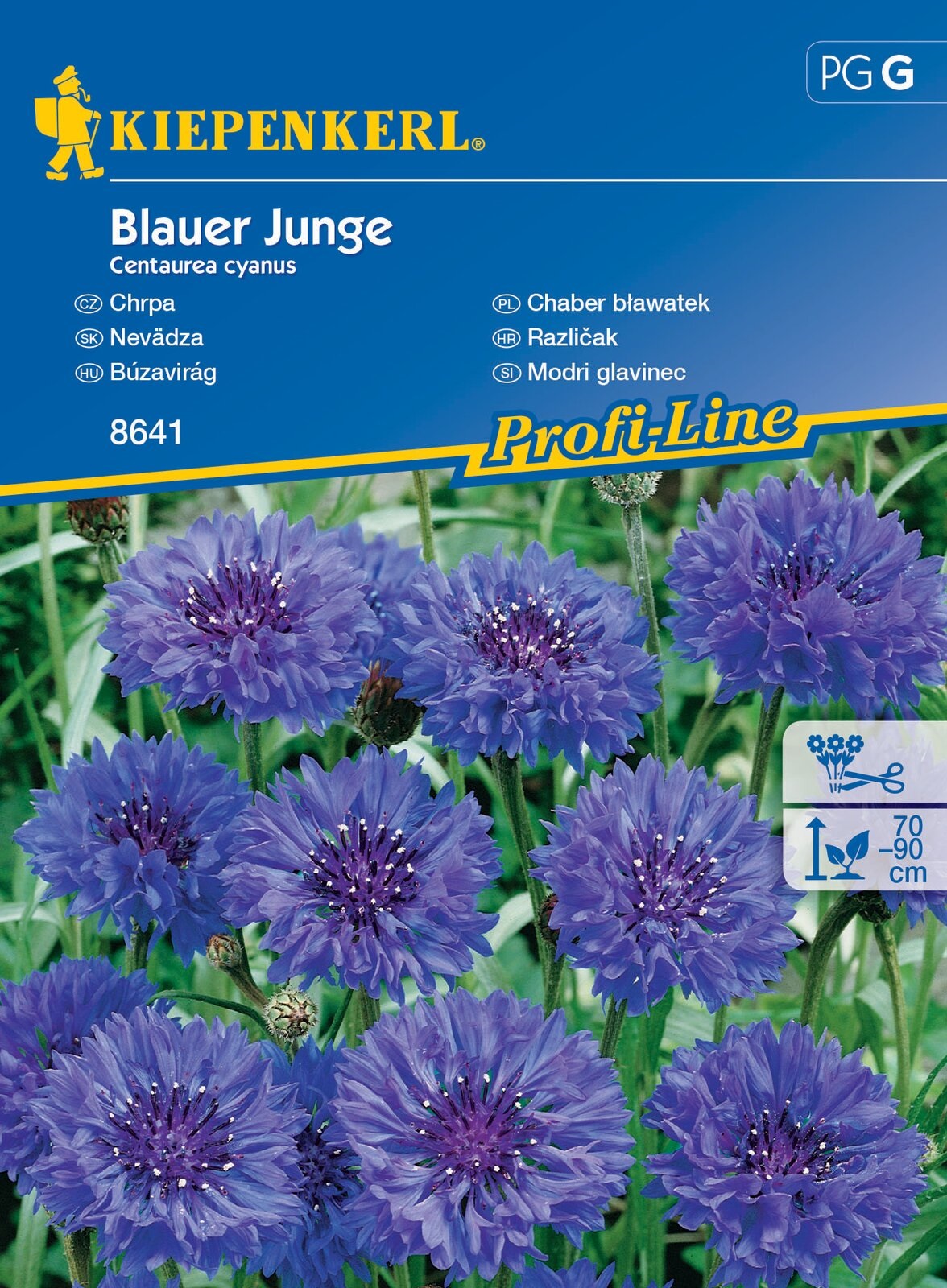 Búzavirág Blauer Junge 60 szem Kiepenkerl