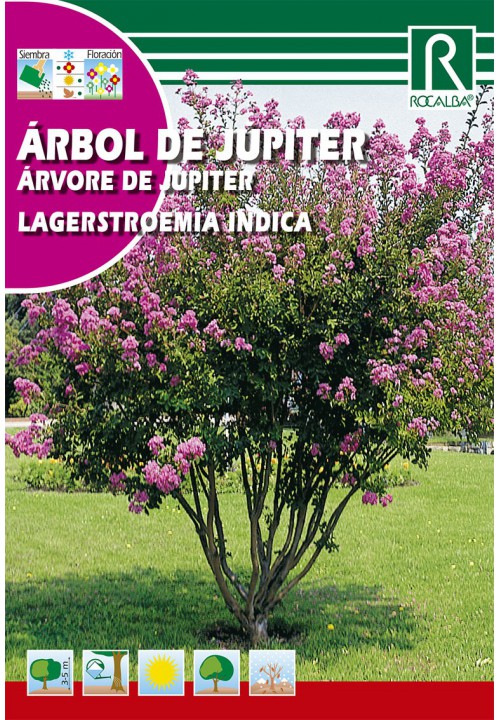Mirtul de mătase (lagerstromeria indica)