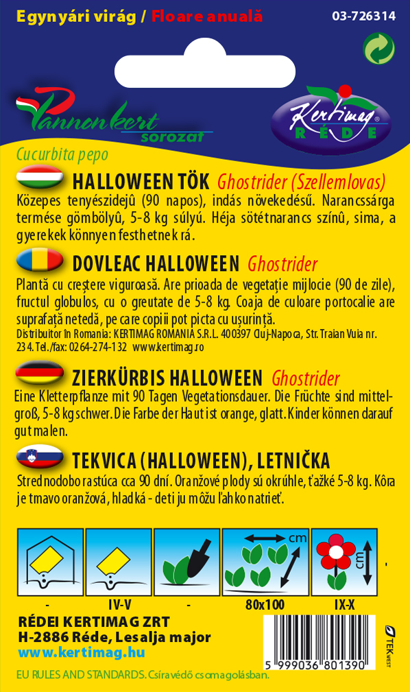 Dovleac ornamental Halloween