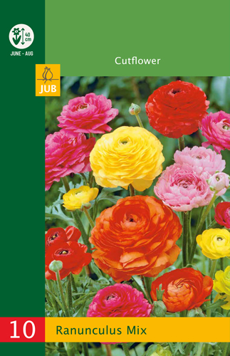 Bulb Buttercup (Ranunculus) Mix 10 bucăți JUB