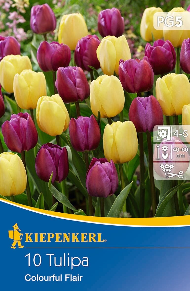 Bulb Tulip mix Colourful Flair 10 pcs Kiepenkerl