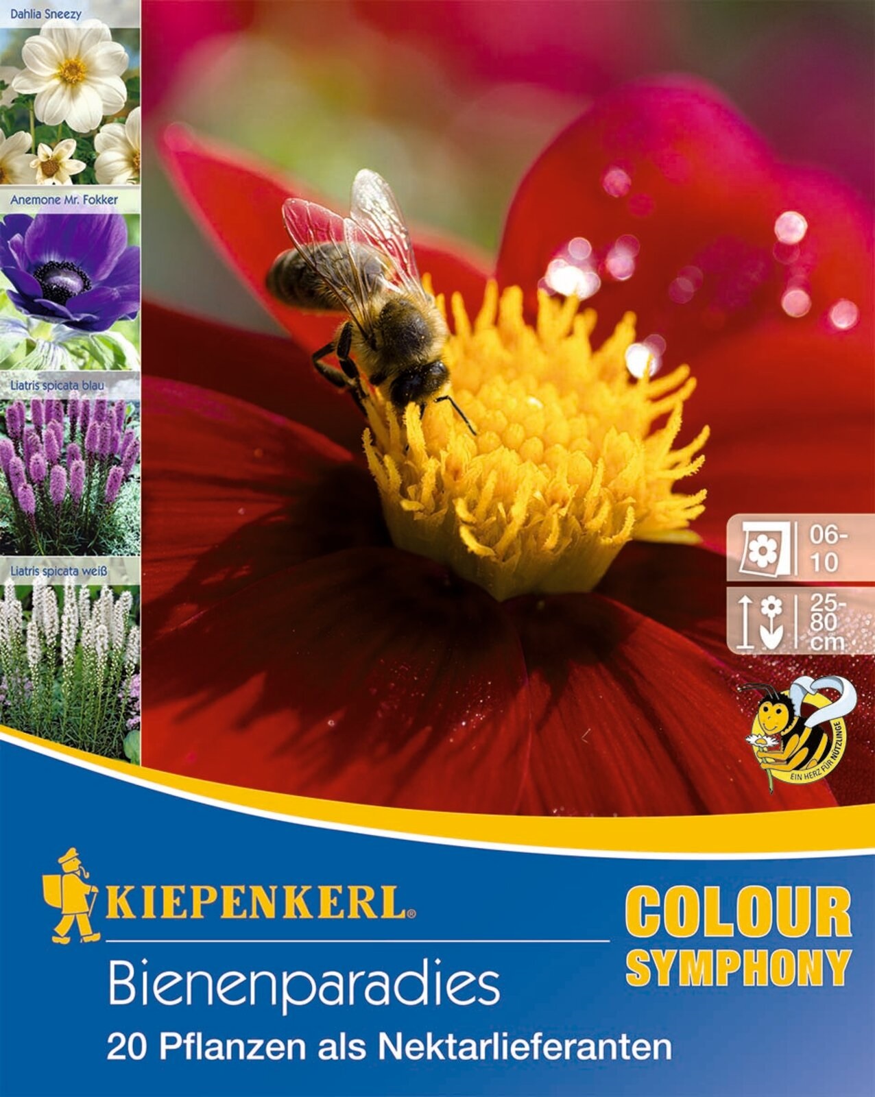 Flower bulbs Bee-feeding mix Kiepenkerl 20 pcs