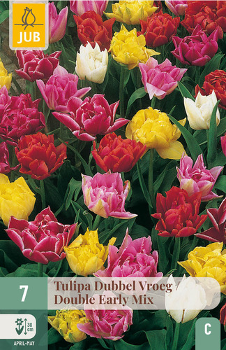 Virághagyma Tulipán Dubbel Vroeg/Dubble Early Mix 7 db JUB
