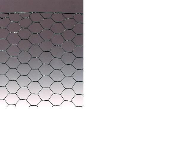Plasă de pui acoperit cu PVC 1000 mm x 25 m (25 mm)