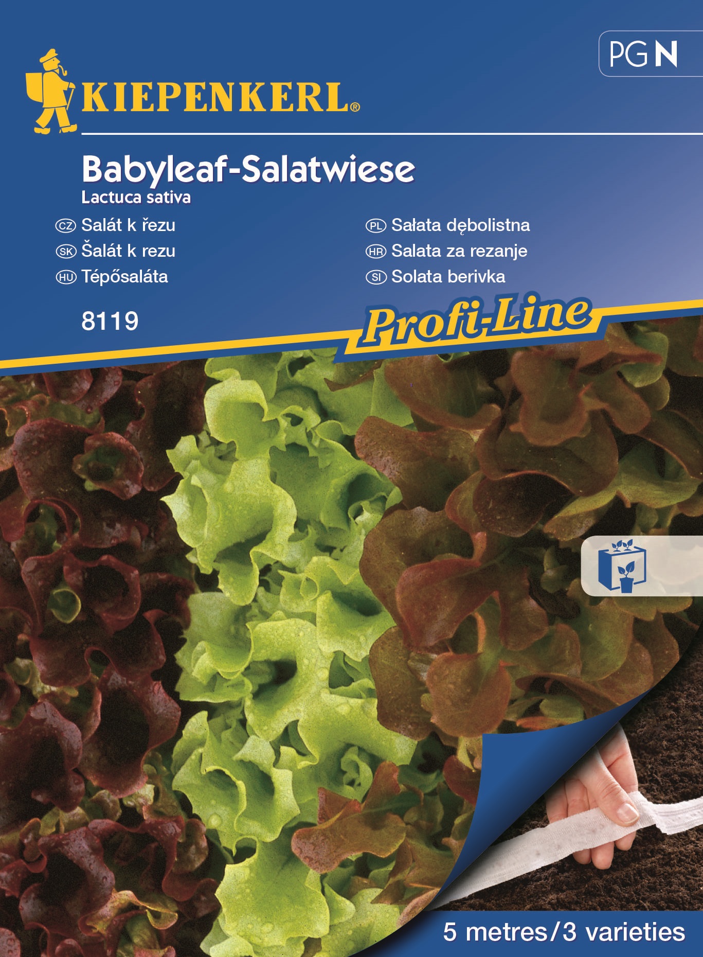 Bandă cu semințe de amestec de Salate Salatwiese Kiepenkerl 4x2,5m
