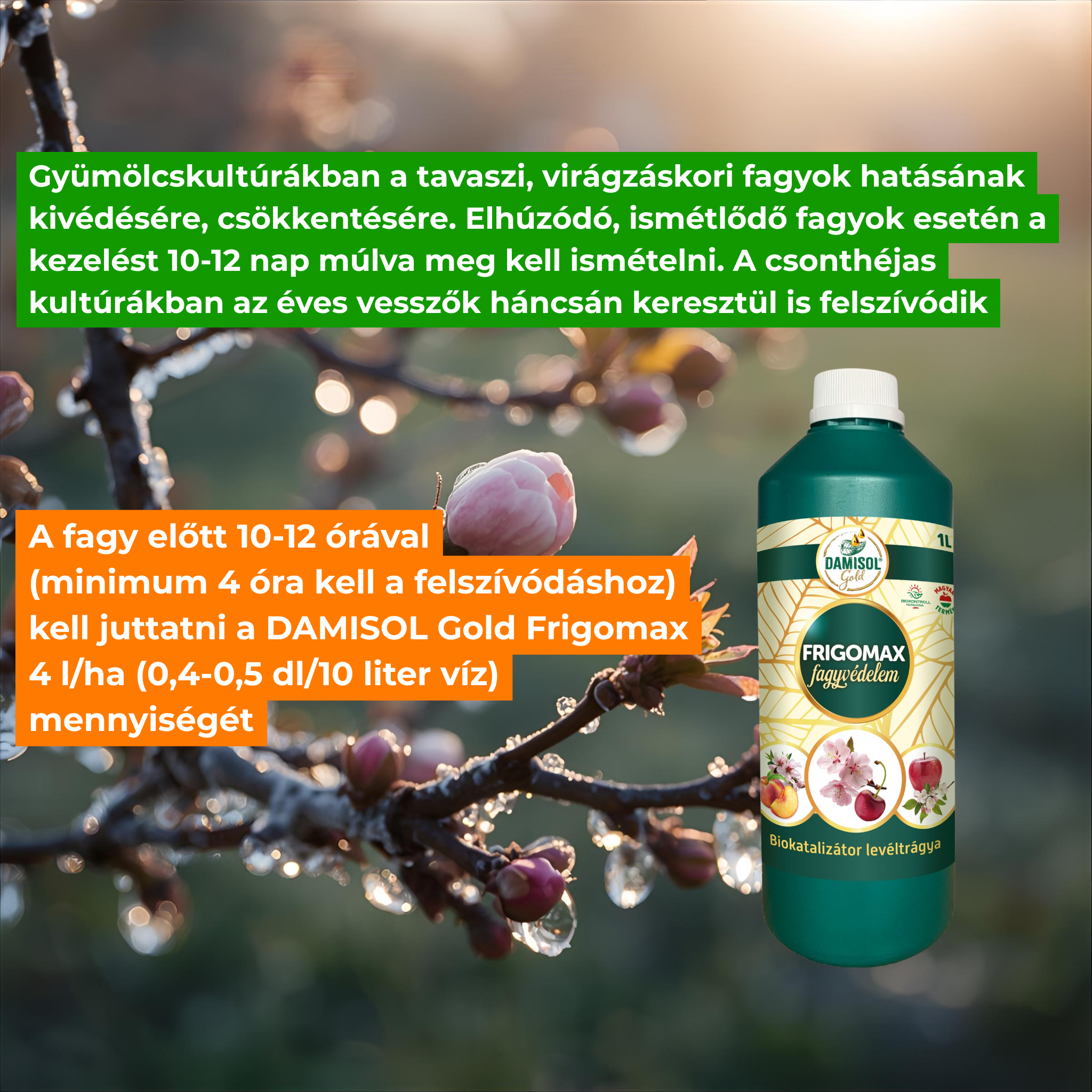 Damisol Gold Frigomax de protecție împotriva înghețului 1 l