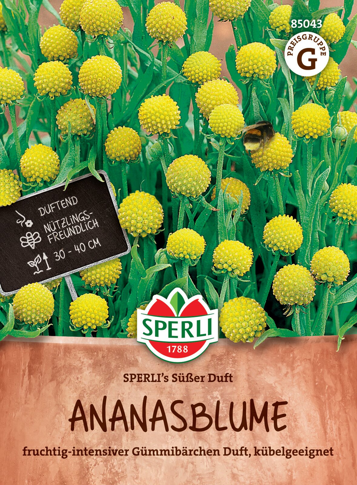 Ananászvirág (gumicukorbokor) Süsser Duft ( kb. 15 szem) Sperli