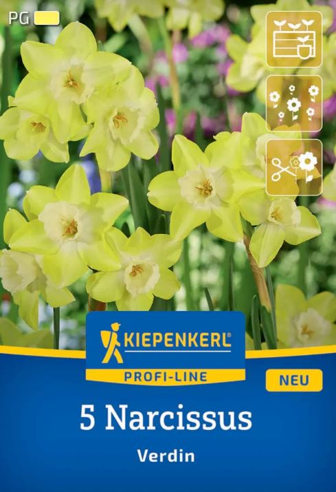Bulb Narcisa Verdin Kiepenkerl 5 buc