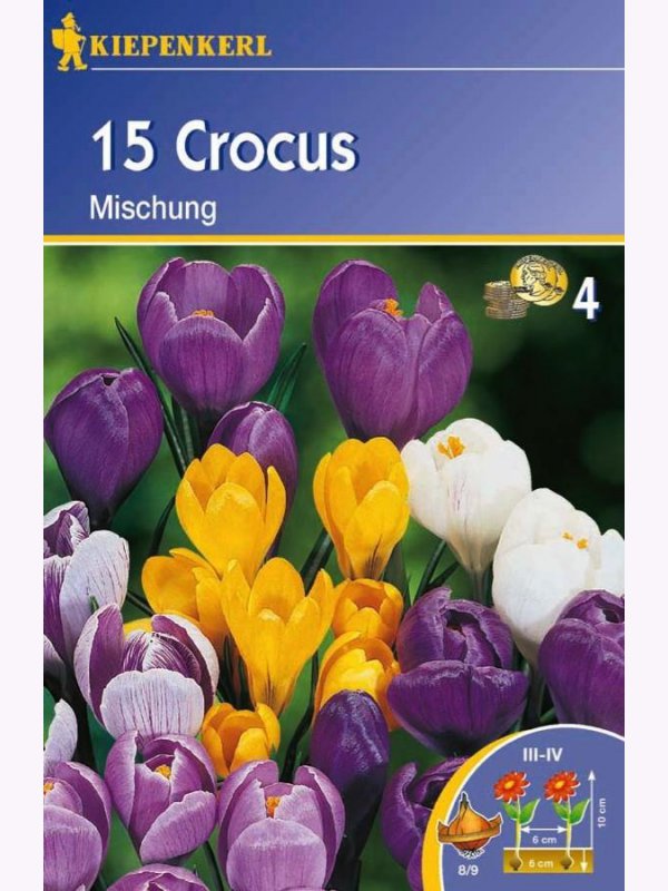 Bulbi de flori crocus flori mari, Kiepenkerl Mix 15 buc