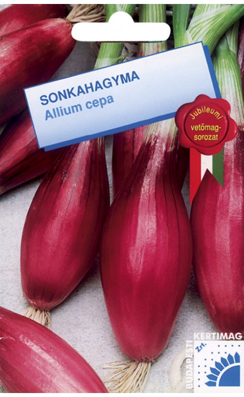 Ceapă sonkahagyma Lila BK 1g