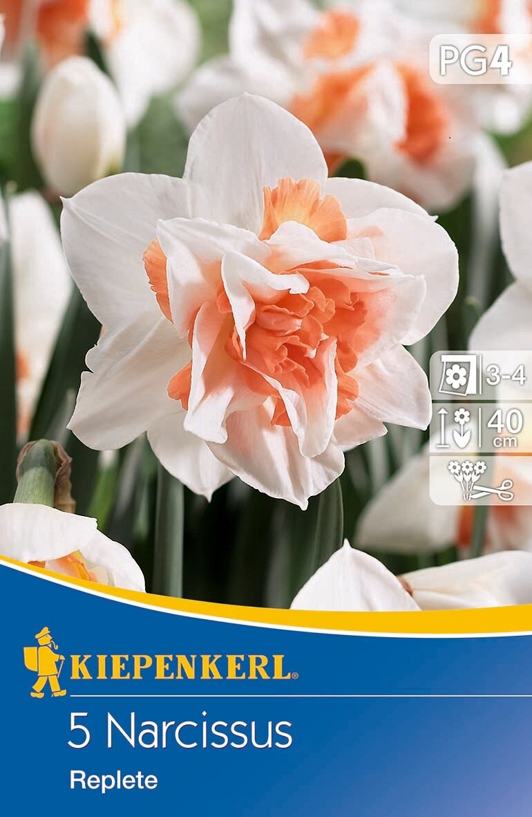 Bulb Daffodil Replete 5 pcs Kiepenkerl