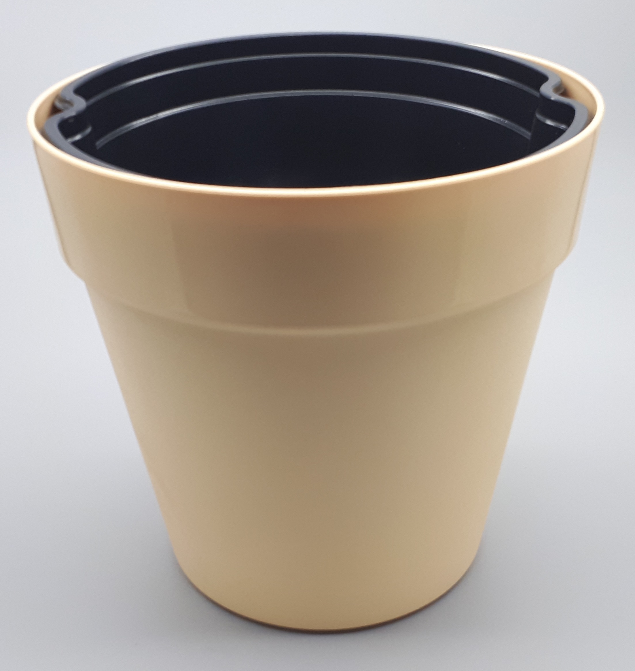  Olar decorativ vanilie 21 cm, cu ghivece de udare