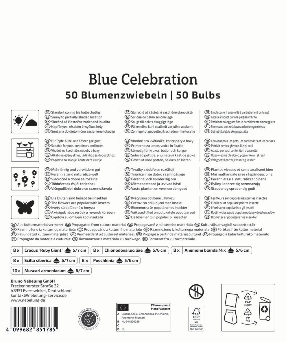 Virághagyma keverék Blue Celebration Kiepenkerl 50 db