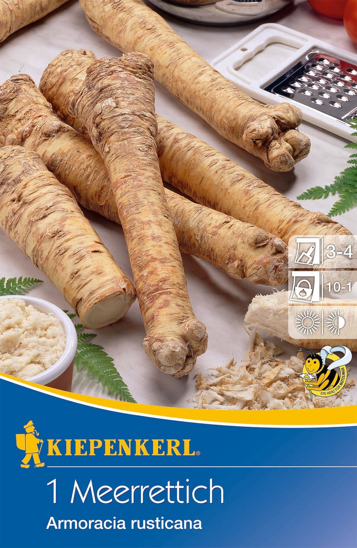 Horseradish (rootstock) Kiepenkerl 1 pc