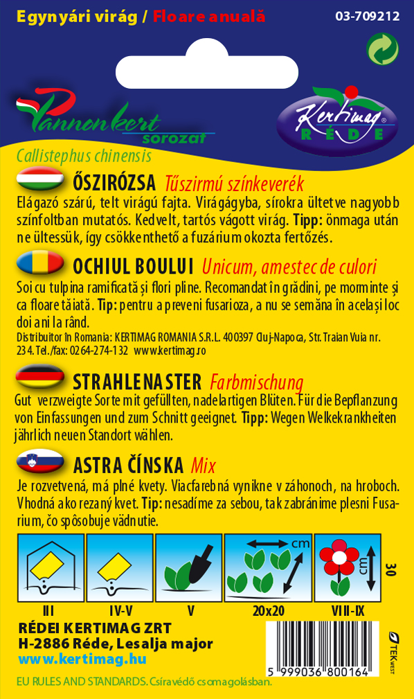 Steluţe de toamnă (Aster) cu petale subţiri ca acele, amestec de culori 1 gr