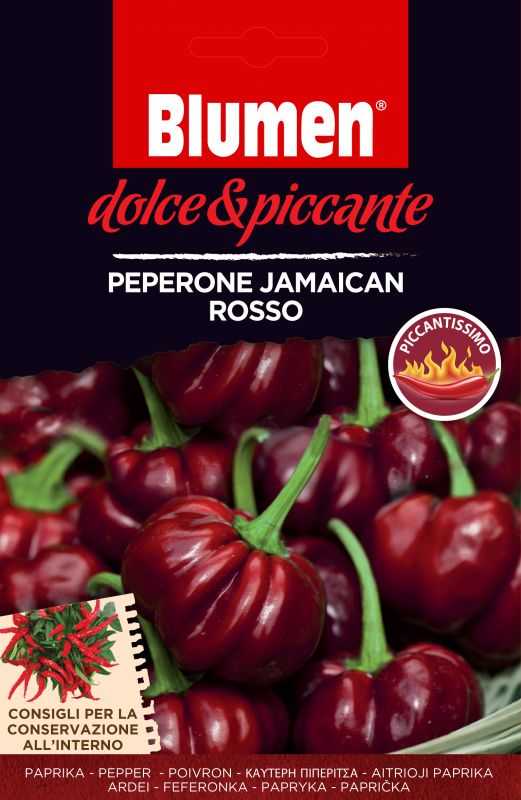 Pepperoni roșu Jamaican Blumen (10-20 szem)